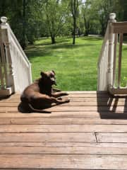 She loves sunbathing.