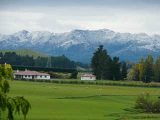 View of Homestead from the farm buildings