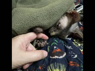 Will you hold my paw when I’m nervous?