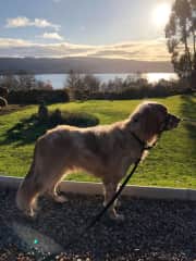 He loves exploring outside more than anything and sniffing the smells is his favourite pastime.