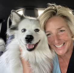 Shasta