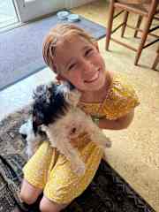 Pet-sitting a sweet Jack Russel on the East coast.