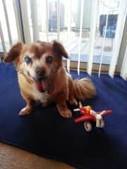 Eli with toy