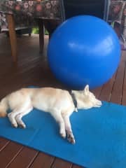 Hard work out!