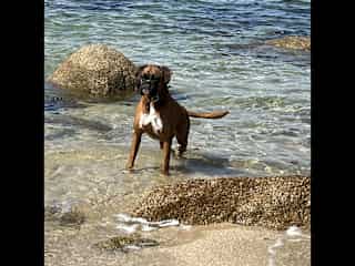 Swimming is a passion …..