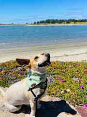 Enjoying San Diego beaches