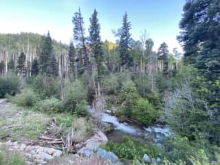 By the entrance to one of the hiking trails en route to Taos Ski Mountain. You’d never expect such forested, wet, mountain beauty in the high desert!