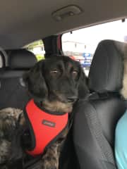 Car ride
