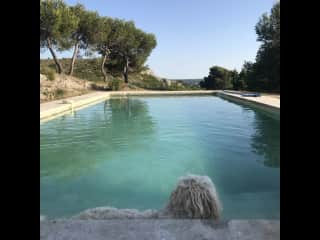 The Pool is open from May to October