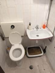 Second toilet