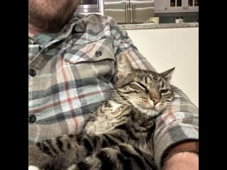 Andrew with Lily the cat. She LoOoVeD cuddling with him. All cats do, even when their owners swear they're not the cuddling type!
