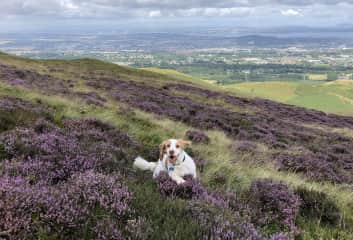 Enjoying the Pentland Hills last year! (just a ten minute walk from our home!)