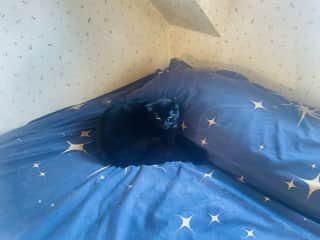 Magik is warming up the bed