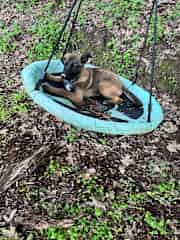 Raya on a swing!