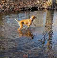 water diversion during a hike