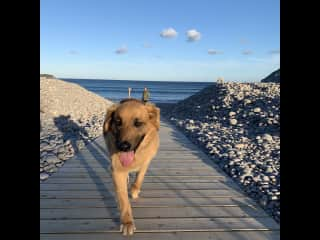 A walk at the Ingonish beach and Freshwater lake.