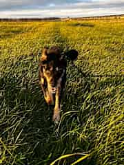 Fields next to our cottage