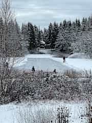 Photo of the pond taken from the sunroom