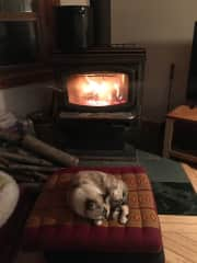 Pai loves sleeping in front of the wood stove in the winter!