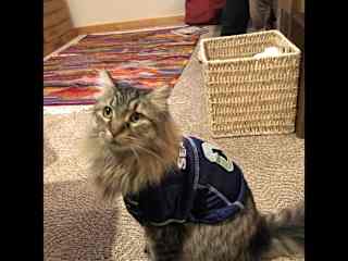 Sapphire with her Seahawks shirt.