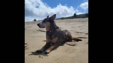 Chai loves going to the beach