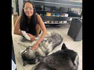 Temecula, CA with my family dogs, Mamba (Siberian Husky) and Chief (Alaskan Malamute)