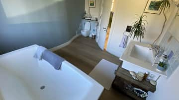 Guest bathroom and toilet