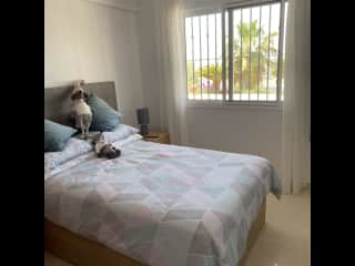 2nd Guest bedroom