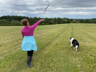 Tess just loved playing 'fetch' on our walks on the Lincolnshire Wolds near Hagworthingham.