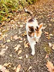 For a walk In the park next door.