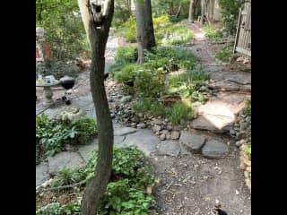 Garden as seen from the little porch off the garage