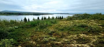 Forest (Snaefoksstadaskogur) and river (Hvitá) in  the area