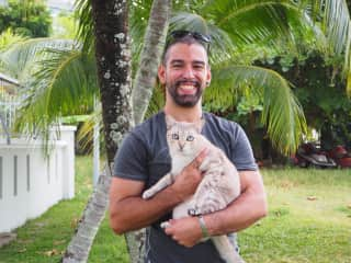 Visiting Bindi, her siblings, and the homeowners one year later (Penang, Malaysia, July 2017)