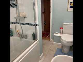 Guest bath/shower room