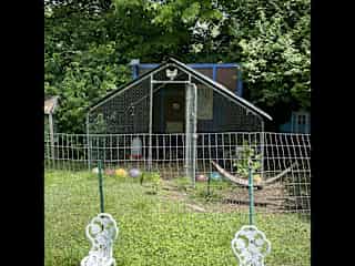 Chicken coop.