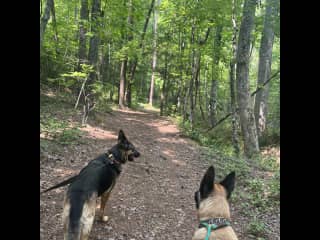 50 miles of private hiking/equestrian trails are accessible from the property.