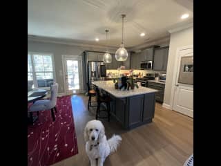 Ellie introducing you to the kitchen.