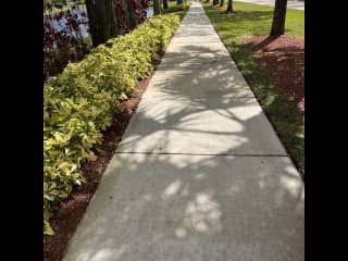 Walking path