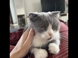 naps are essential!