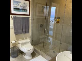 Guest bathroom