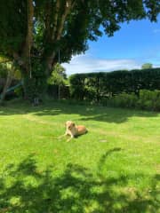 My favourite sunny spot in the garden