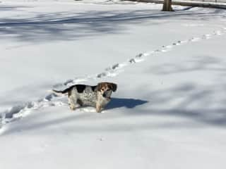 George playing in the snow