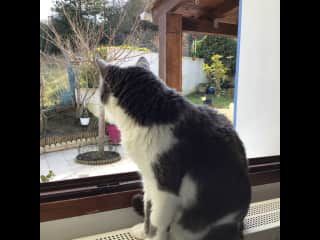 The birds are out there again!!