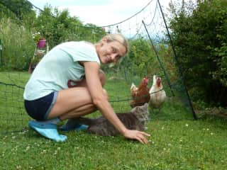 During a housesit with the pets