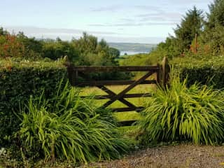 View from the house