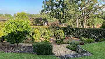 Our garden