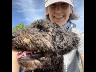 A long walk to the waterfront park with Pepper