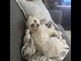 But being on the couch with a blanket is my favorite
