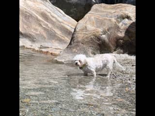 Mountain walk