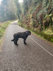 Nice long walk along Lough Hyne near Baltimore.